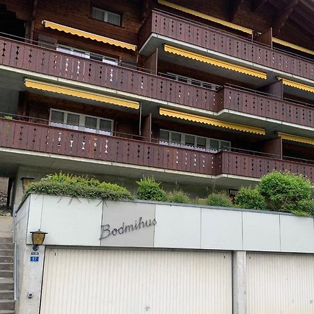 Luxury, New - Amazing Views Grindelwald Eiger Jungfrau Moench Διαμέρισμα Εξωτερικό φωτογραφία