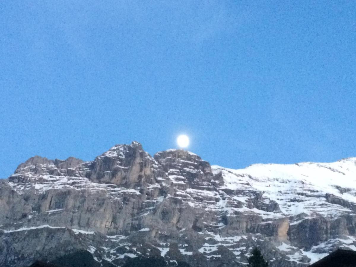 Luxury, New - Amazing Views Grindelwald Eiger Jungfrau Moench Διαμέρισμα Εξωτερικό φωτογραφία