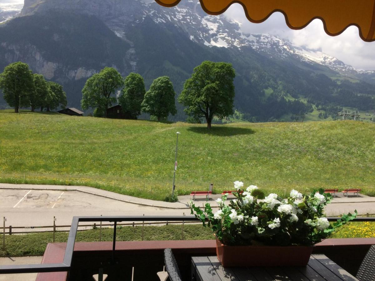Luxury, New - Amazing Views Grindelwald Eiger Jungfrau Moench Διαμέρισμα Εξωτερικό φωτογραφία