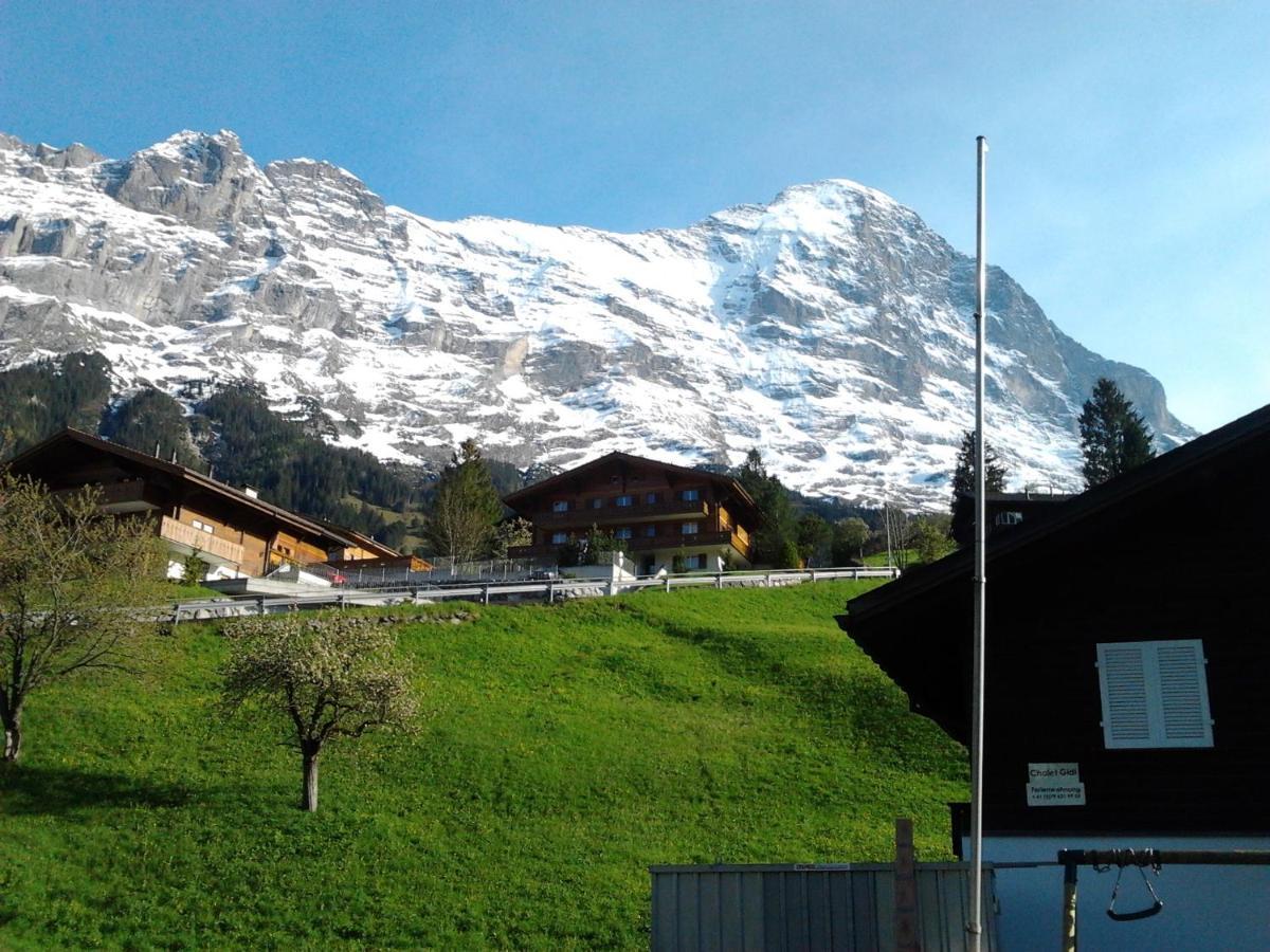 Luxury, New - Amazing Views Grindelwald Eiger Jungfrau Moench Διαμέρισμα Εξωτερικό φωτογραφία