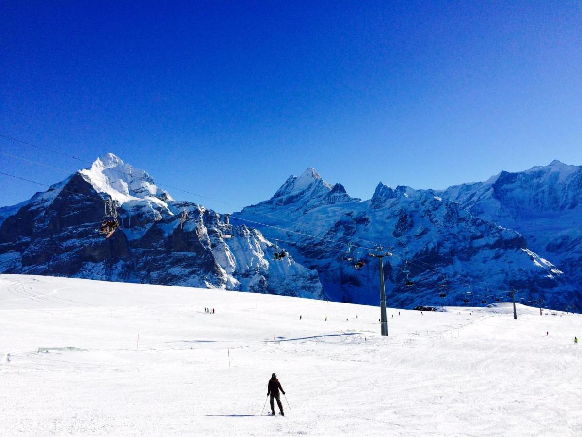 Luxury, New - Amazing Views Grindelwald Eiger Jungfrau Moench Διαμέρισμα Εξωτερικό φωτογραφία