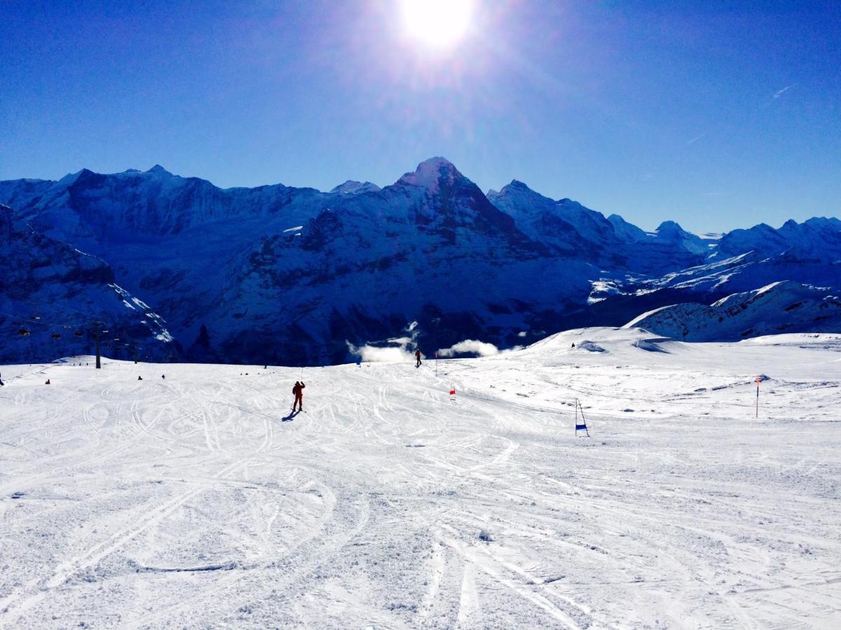 Luxury, New - Amazing Views Grindelwald Eiger Jungfrau Moench Διαμέρισμα Εξωτερικό φωτογραφία
