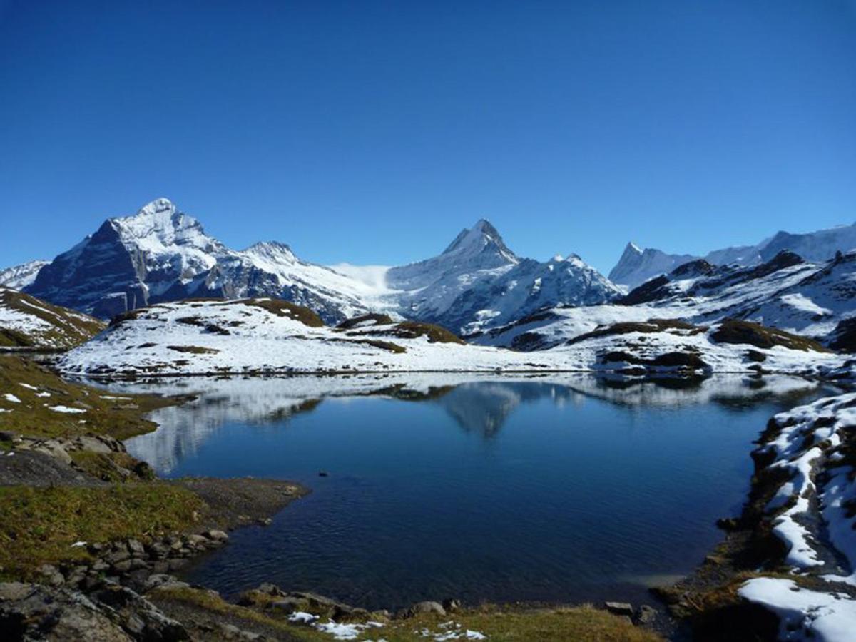 Luxury, New - Amazing Views Grindelwald Eiger Jungfrau Moench Διαμέρισμα Εξωτερικό φωτογραφία