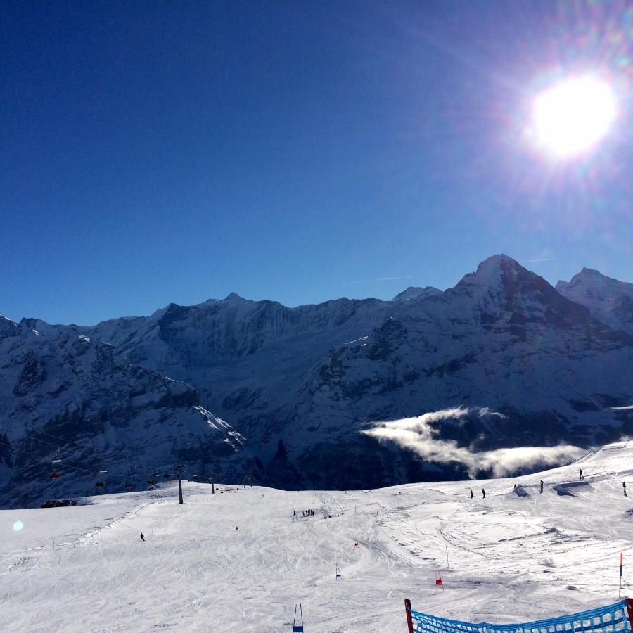 Luxury, New - Amazing Views Grindelwald Eiger Jungfrau Moench Διαμέρισμα Εξωτερικό φωτογραφία
