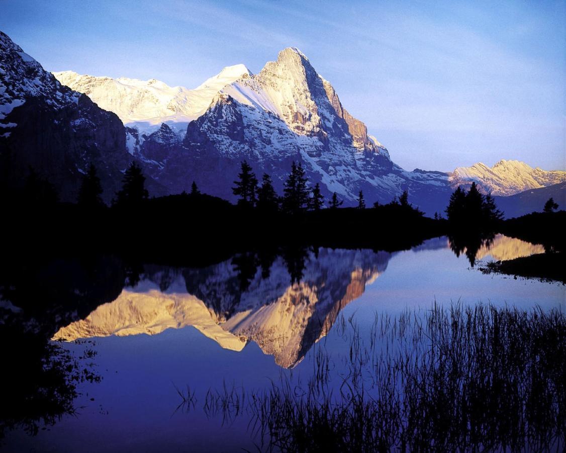 Luxury, New - Amazing Views Grindelwald Eiger Jungfrau Moench Διαμέρισμα Εξωτερικό φωτογραφία