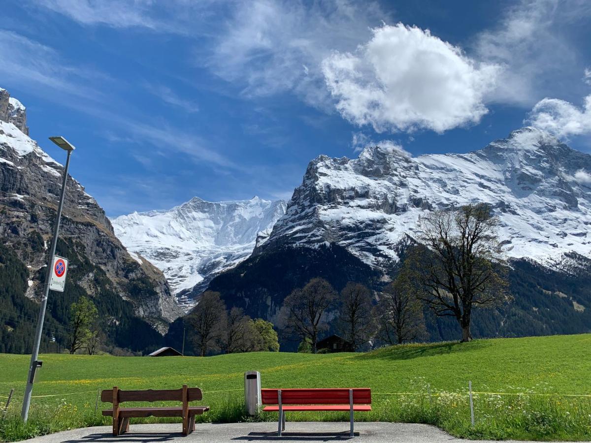 Luxury, New - Amazing Views Grindelwald Eiger Jungfrau Moench Διαμέρισμα Εξωτερικό φωτογραφία